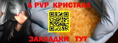 ECSTASY Гай