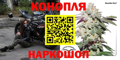 ECSTASY Гай