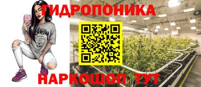 сатива Комсомольск-на-Амуре
