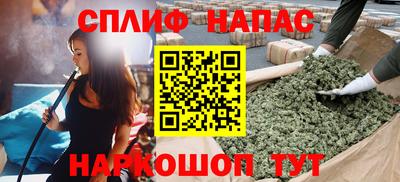 ECSTASY Гай