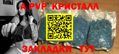 ECSTASY Гай