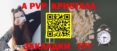 ECSTASY Гай