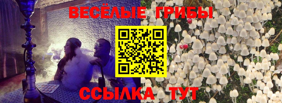 Псилоцибиновые грибы Psilocybe  Вход с VPN  Орехово-Зуево  Галлюциногенные грибы Psilocybe 